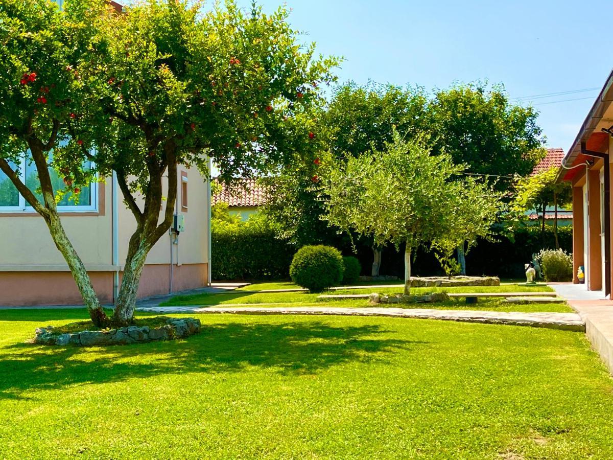 Apartment Helena Airport Подгорица Экстерьер фото
